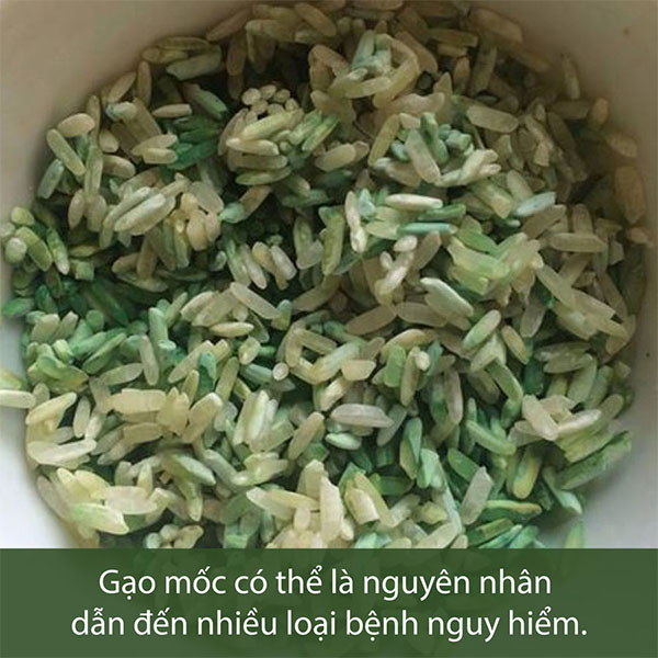 cách xử lý gạo bị hôi