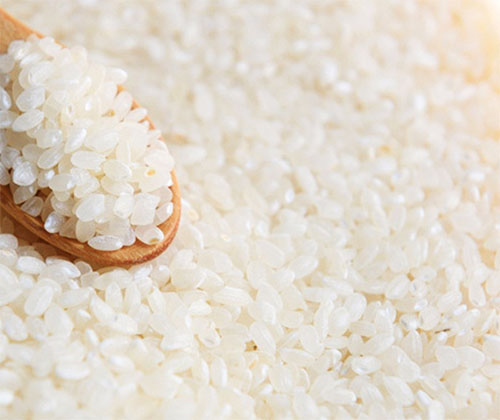 loại gạo nào ngon nhất hiện nay