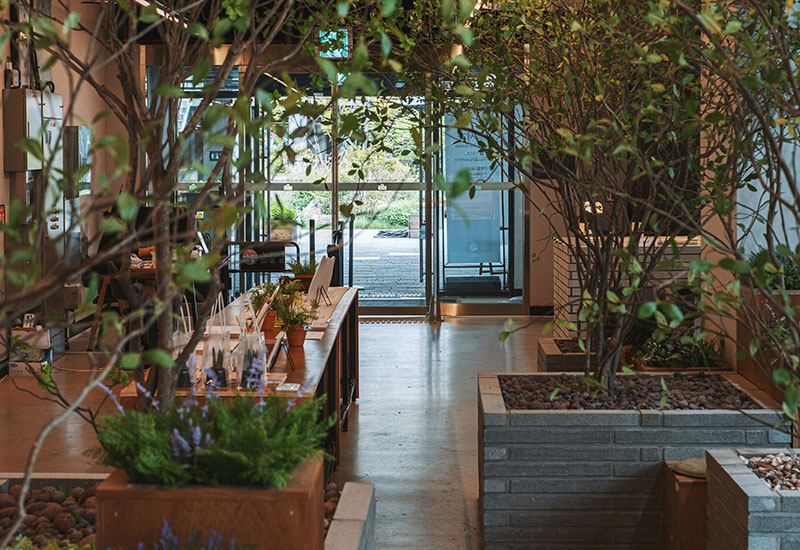 mở quán cafe sân vườn