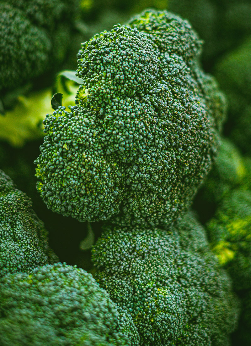 cung cấp rau củ quả giá sỉ