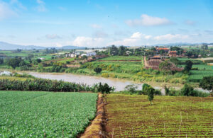 điều kiện sống tại tphcm và đơn dương