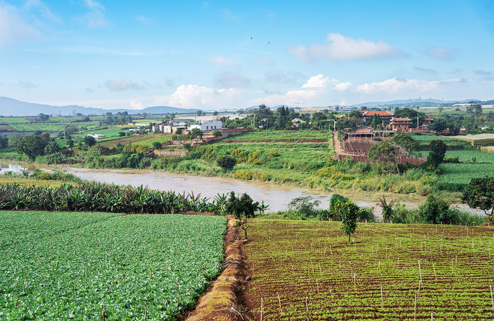 điều kiện sống tại tphcm và đơn dương