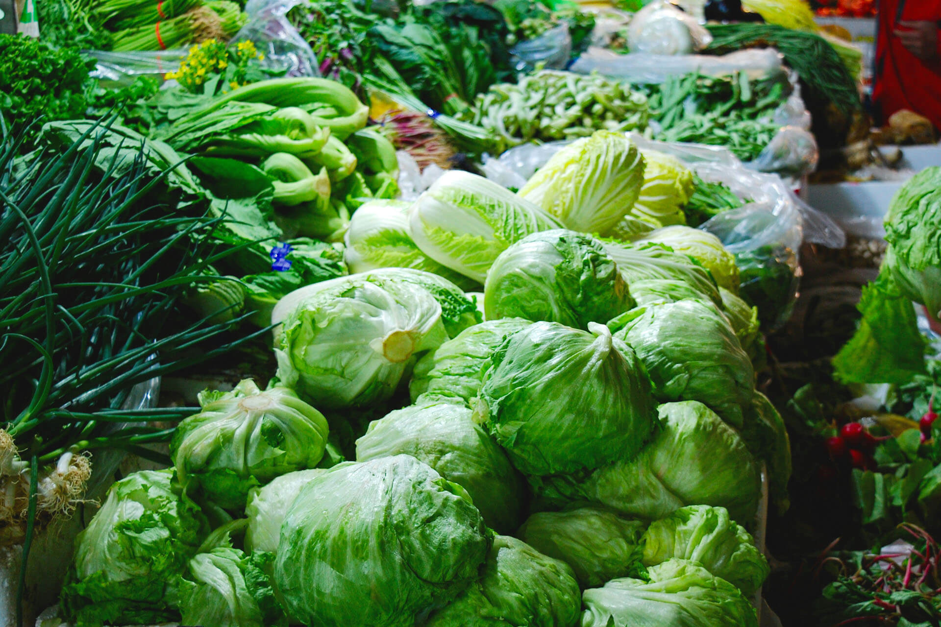 nhà cung cấp rau sạch tại tphcm