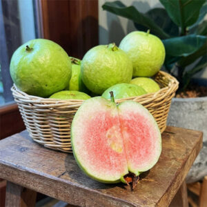 cây ổi ruby ruột đỏ