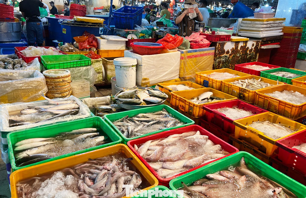 các chợ đầu mối ở tphcm, các chợ đầu mối ở sài gòn