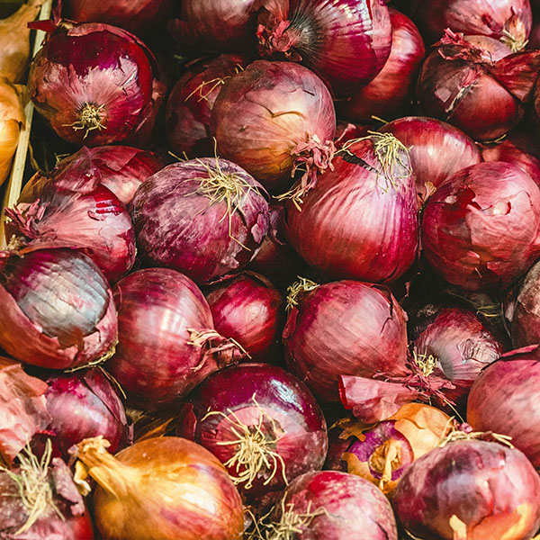 củ hành tím, hành tây tím
