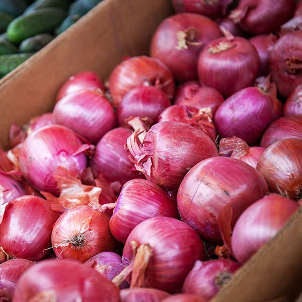 củ hành tím, hành tây tím