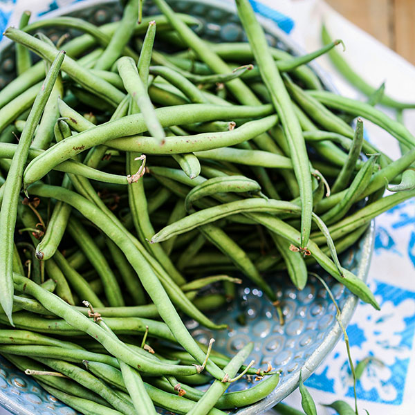 đậu cove, đậu cô ve