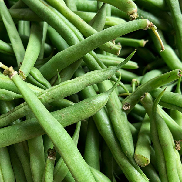 đậu cove, đậu cô ve