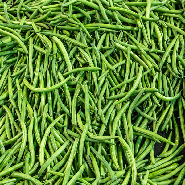 đậu cove, đậu cô ve