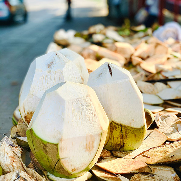 dừa tươi xanh