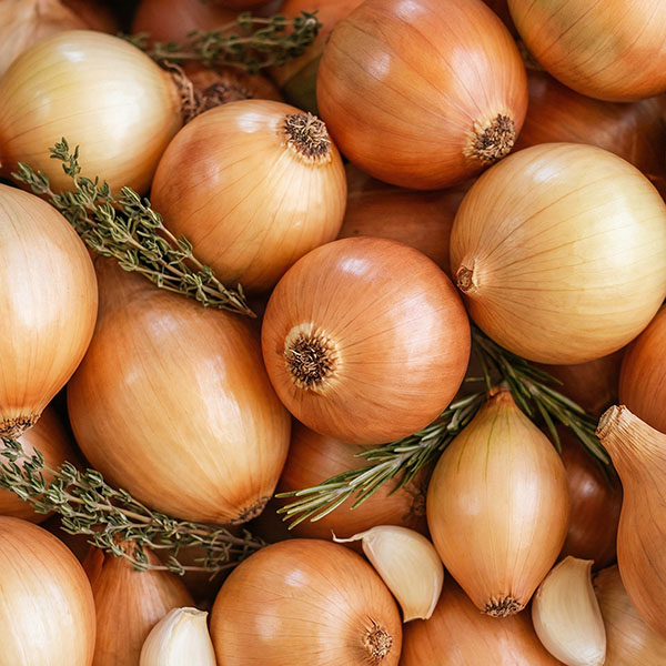 củ hành tây