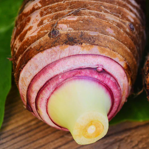 khoai môn cao, khoai cao