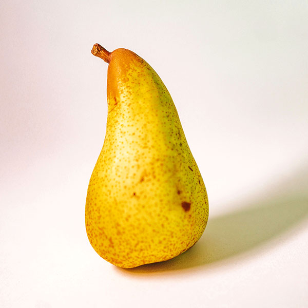 lê nâu hàn quốc