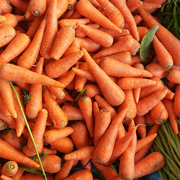 quả cà rốt