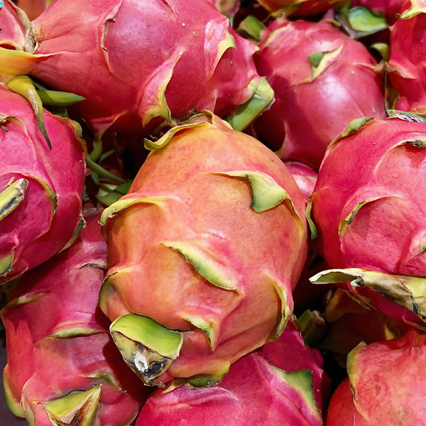 cây thanh long ruột đỏ