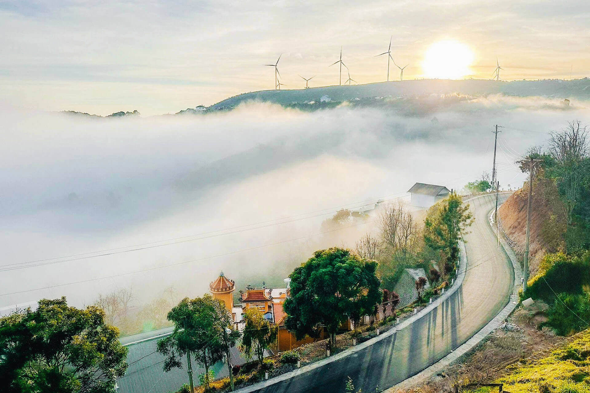 cung cấp rau sạch đà lạt
